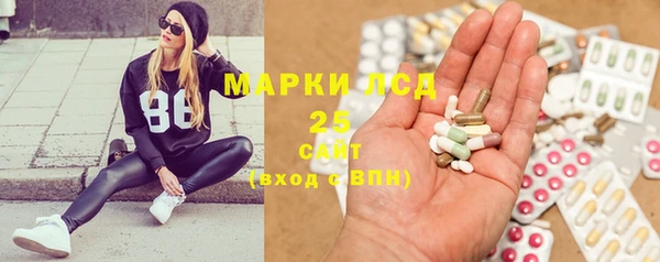 мет Алексин