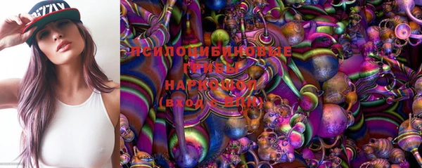 круглые Алексеевка