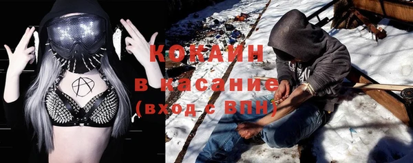 мет Алексин