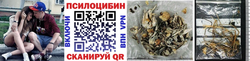 Галлюциногенные грибы мицелий Анапа