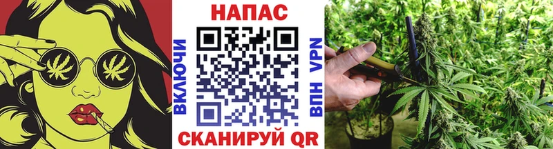 Каннабис MAZAR Анапа